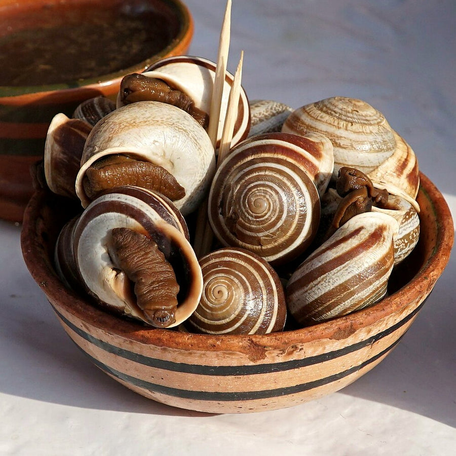Lumache al naturale — Vasetto 300 g · 150 g sgocciolato